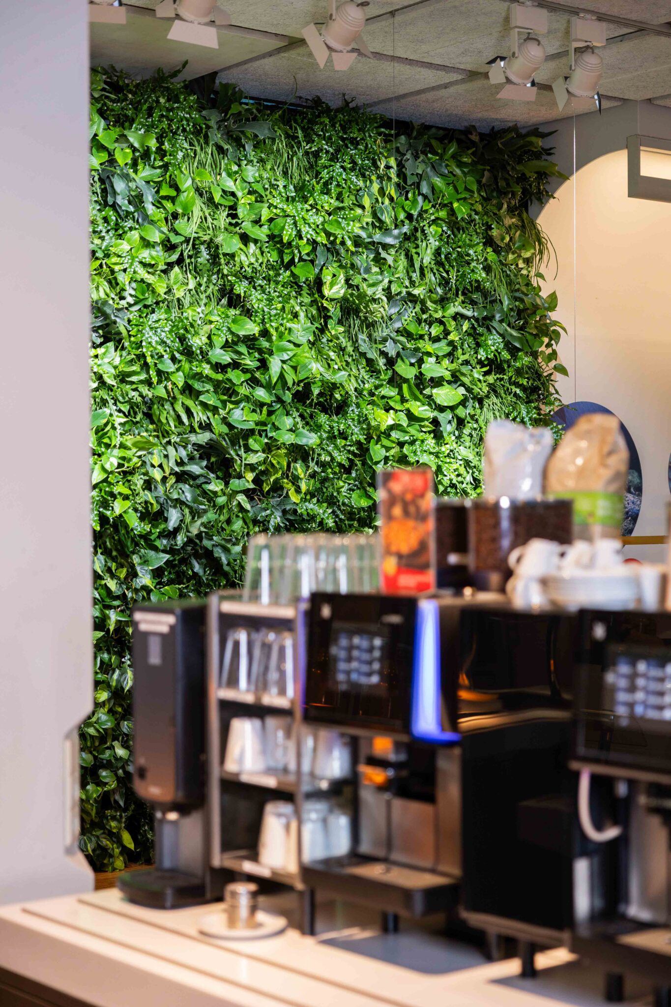 plantenmuur den haag