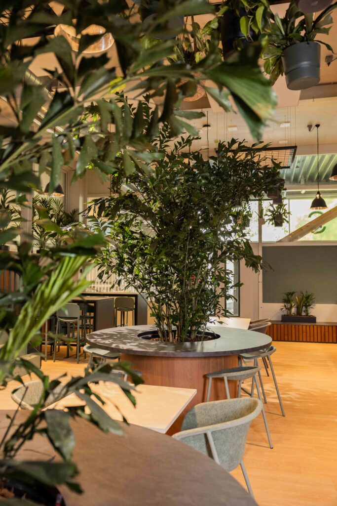 Groen op school Rijswijk