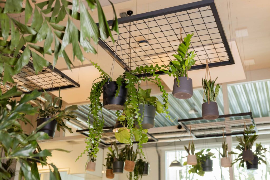 Hangende tuin