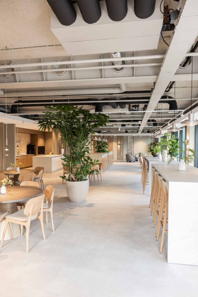 Interieurbeplanting westland