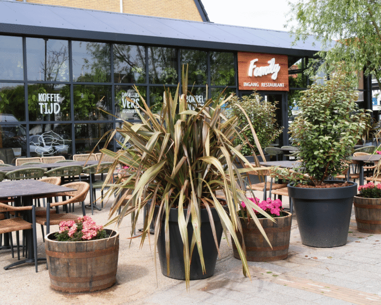 Terras met plantenbakken
