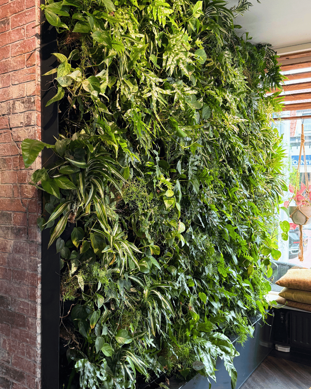 plantenmuur westland