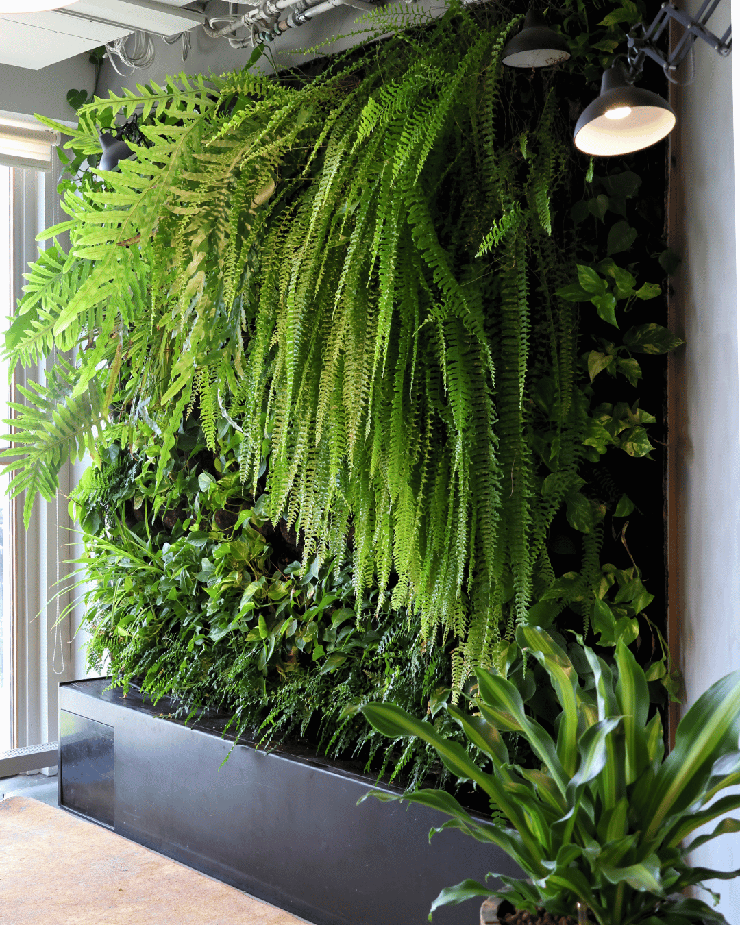 Plantenmuur CIC Rotterdam